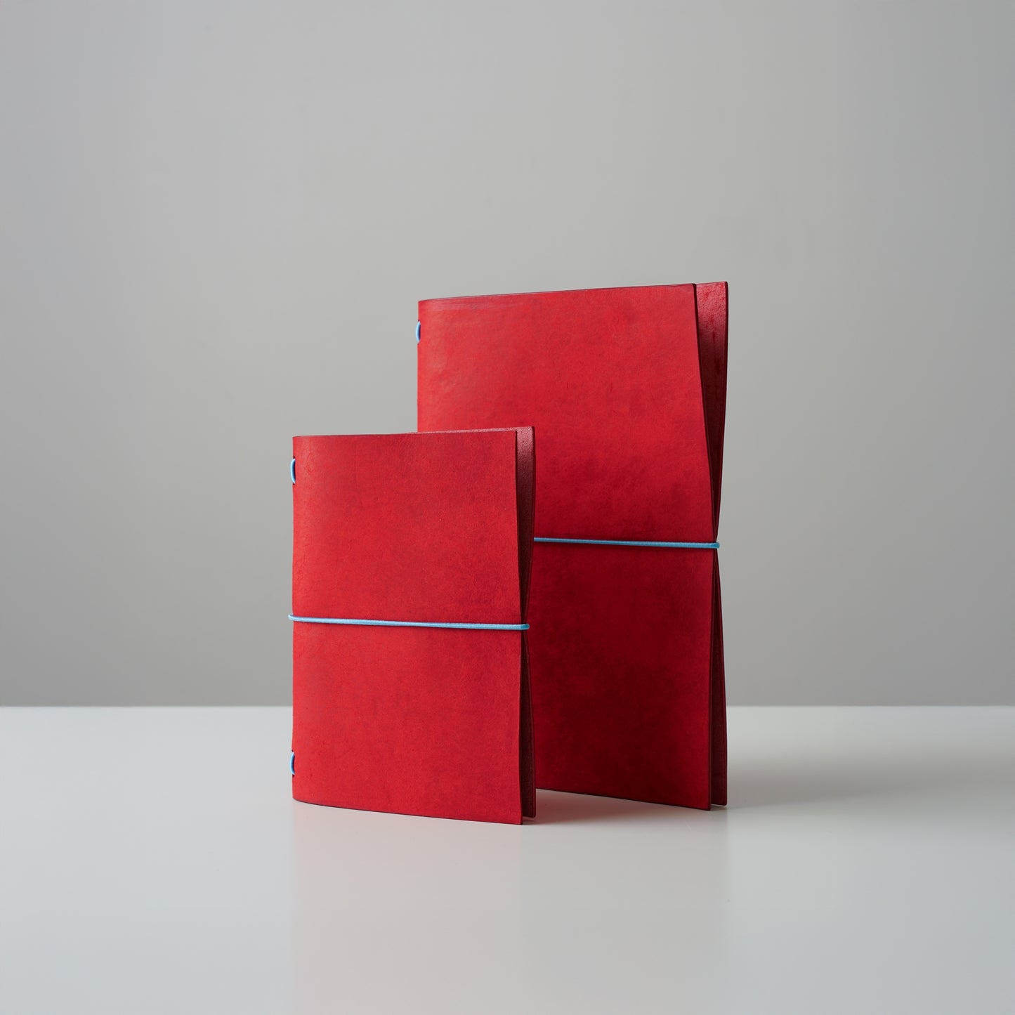 NOMAD Leather Travel Journal in Raspberry Red